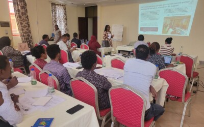 Performance Monitoring Teams Brief – Ethiopia Landscaping Assessment: Synthesis Report