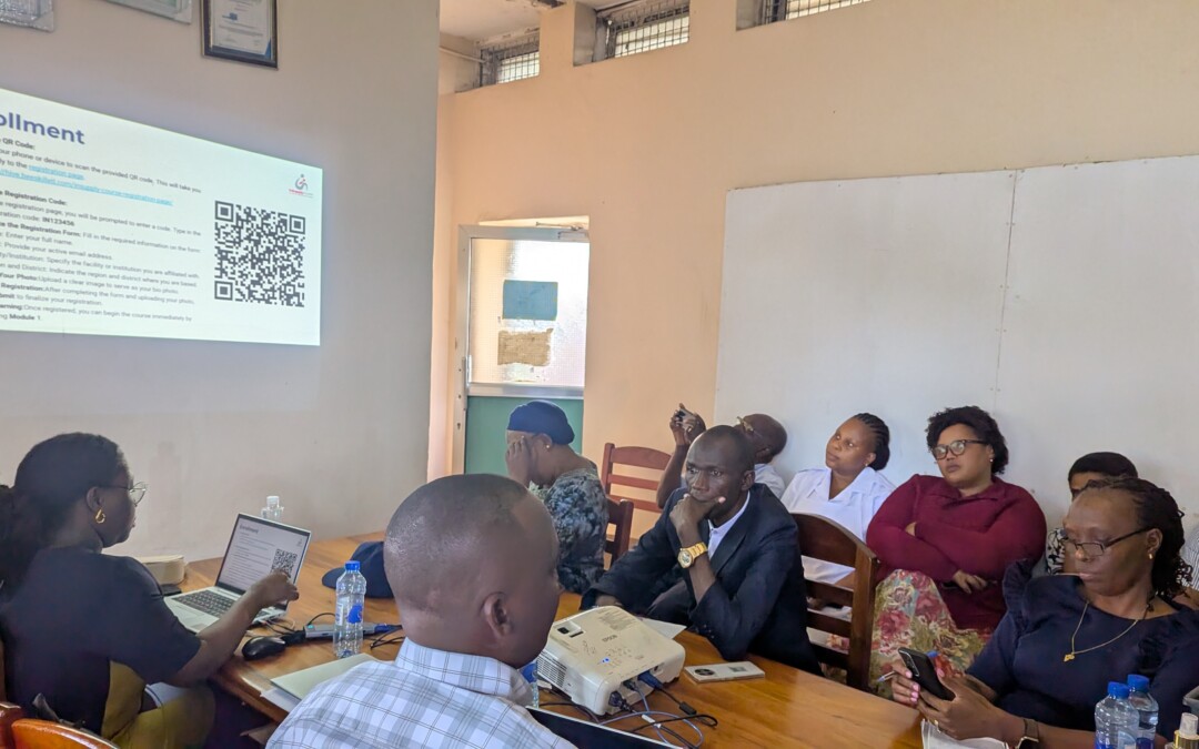 Strengthening Tanzania’s Health Supply Chain: Last Mile Facility IMPACT Teams Building a Data Use Culture