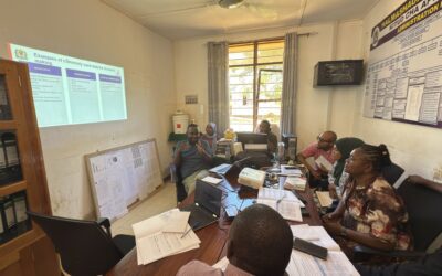 The Role of Leadership in Improving Facility-Level IMPACT Teams: The Case of Tanga City Hospital