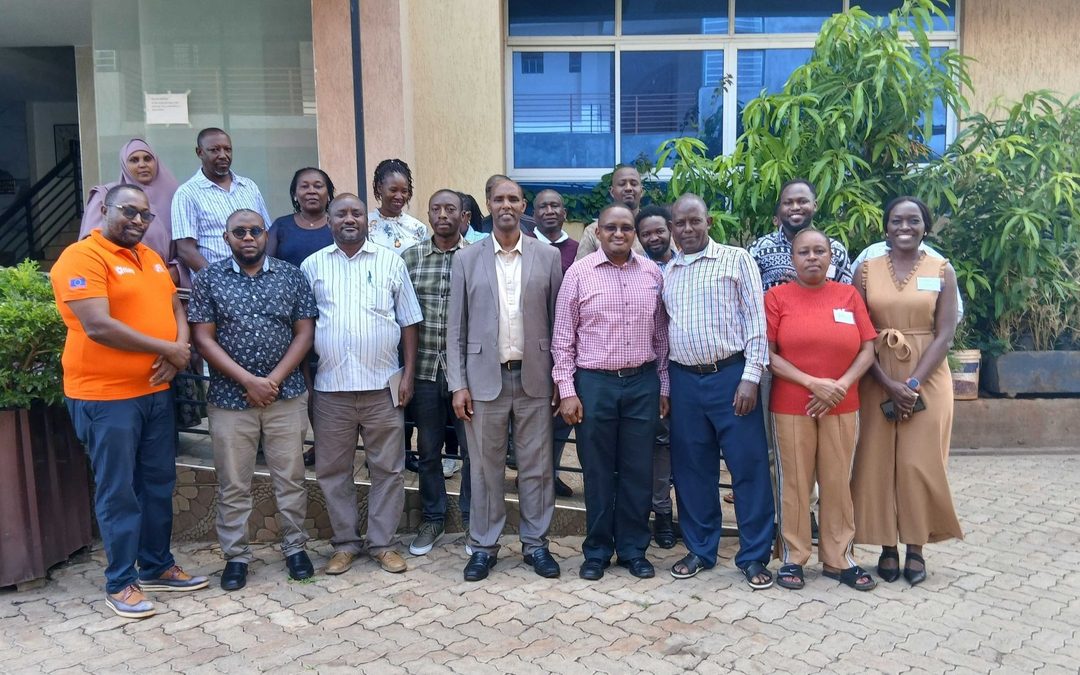 Bridging the Gap: How Isiolo County is Leveraging Data and the SMArT Tool to Optimize Health Commodity Supply Chains